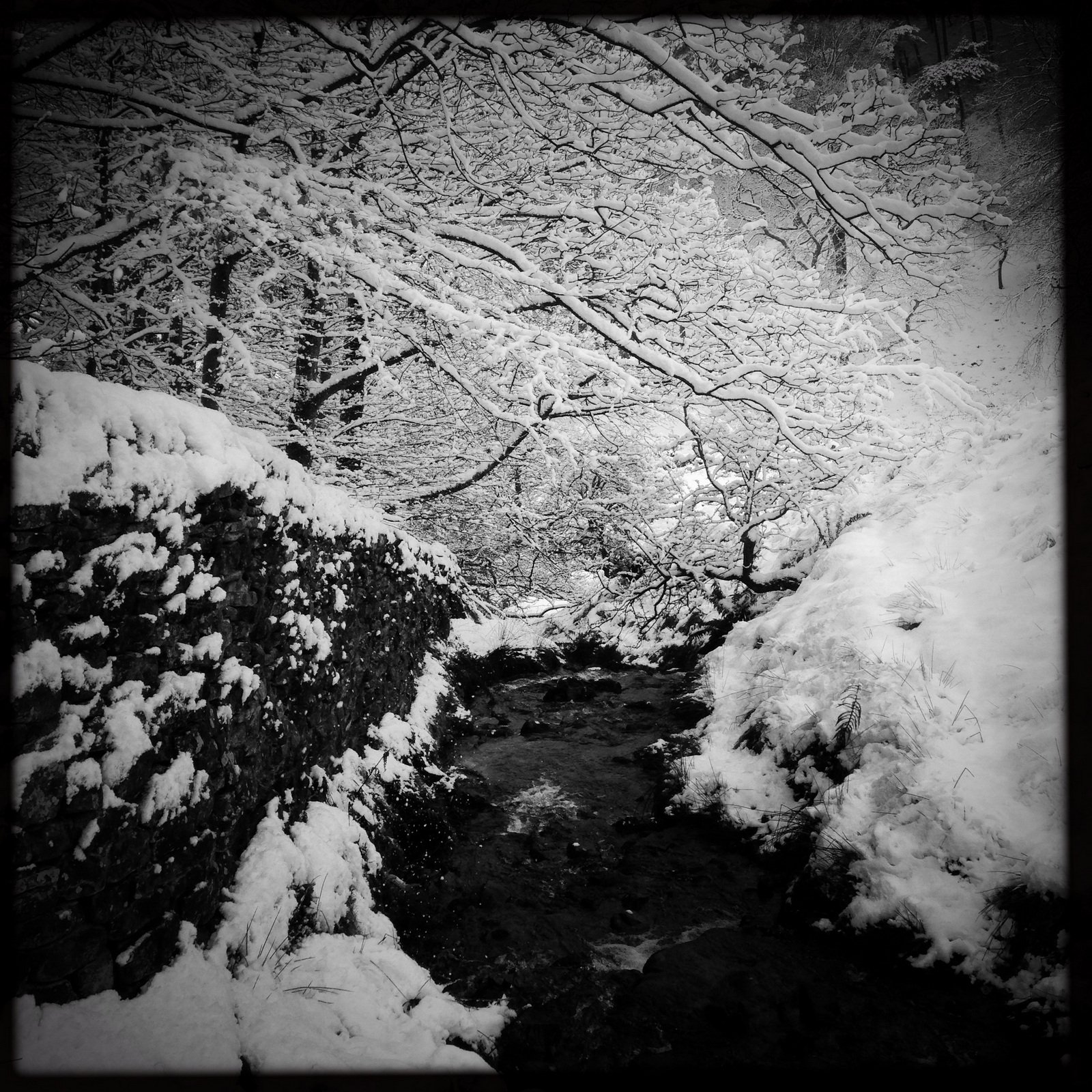 A narrow stream flows between a stone wall and snow-covered banks, with tree branches overhead also coated in snow. The scene is in black and white.